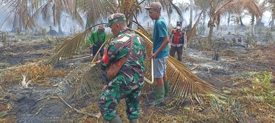 Babinsa Koramil 10/Pelangiran: Karhutla 2 Hektare di Tegal Rejo Jaya Padam, Namun Asap Masih Meluas