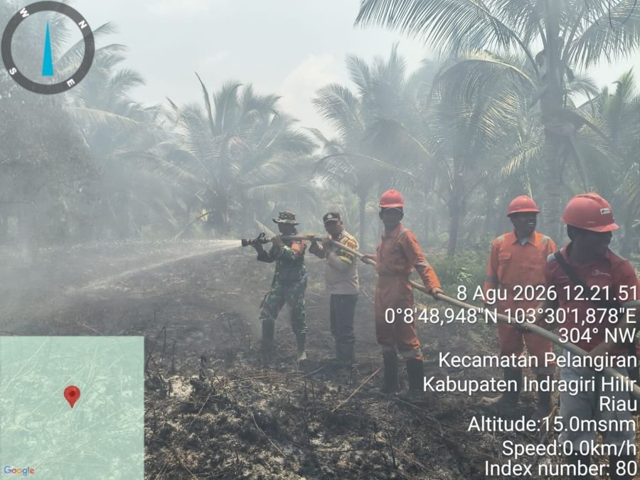 Babinsa Koramil 10/Pelangiran Percepat Pendinginan, Api Karhutla Berhasil Dipadamkan