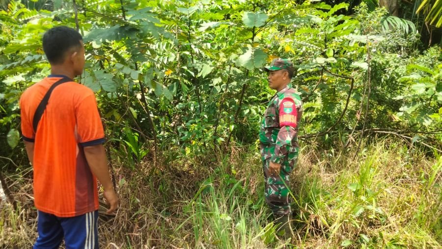 Babinsa Koramil 10/Pelangiran Perkuat Pengamanan Perbatasan, Pastikan Wilayah Aman Tanpa Titik Api