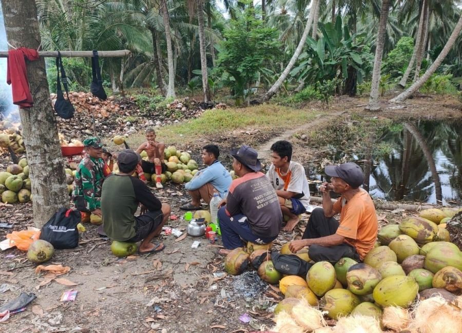 Babinsa Koramil 10/Pelangiran Turun Langsung Dampingi Petani Kelapa, Dorong Penguatan SDM Pekebun