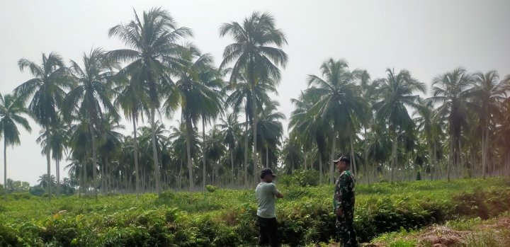 Babinsa Koramil 11/PBR Bersama Warga Patroli Karhutlah, Wilayah Sri Danai Nihil Titik Api