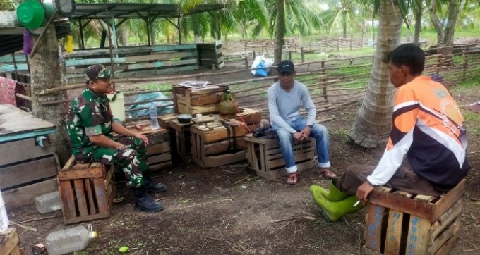 Babinsa Koramil 11/PBR Laksanakan Komsos Bersama Petani Kelapa dan Peternak Sapi di Pulau Burung