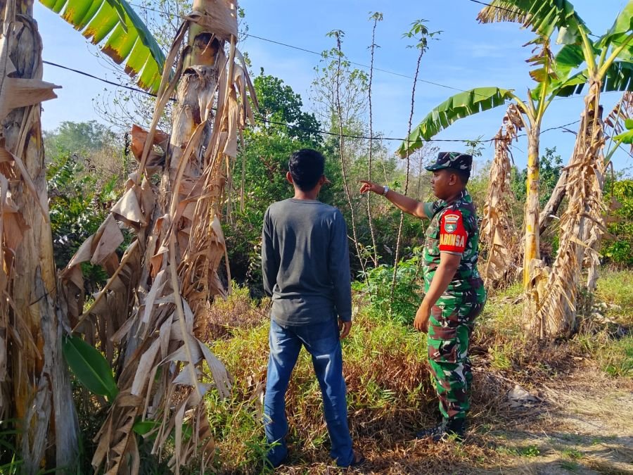 Babinsa Koramil 11/PBR Laksanakan Patroli Tapal Batas, Titik Api Nihil