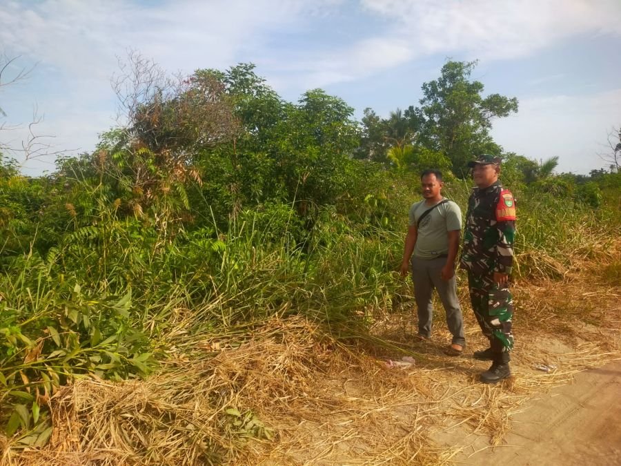 Babinsa Koramil 11/PBR Laksanakan Patroli Karhutlah, Pastikan Wilayah Aman dari Karhutlah