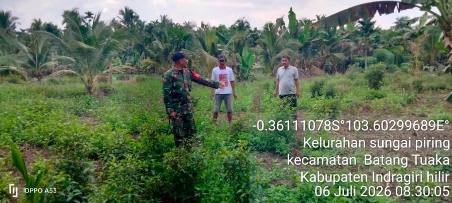 Babinsa Koramil 12/Batang Tuaka Gencarkan Sosialisasi dan Patroli Karhutla di Desa Kuala Sebatu
