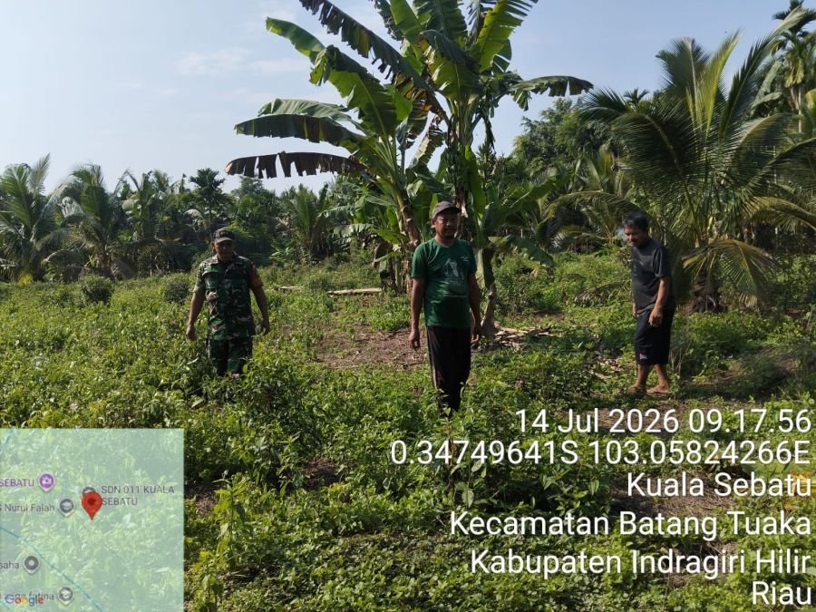 Babinsa Koramil 12/Batang Tuaka Intensifkan Patroli Karhutla di Desa Kuala Sebatu, Titik Api Nihil