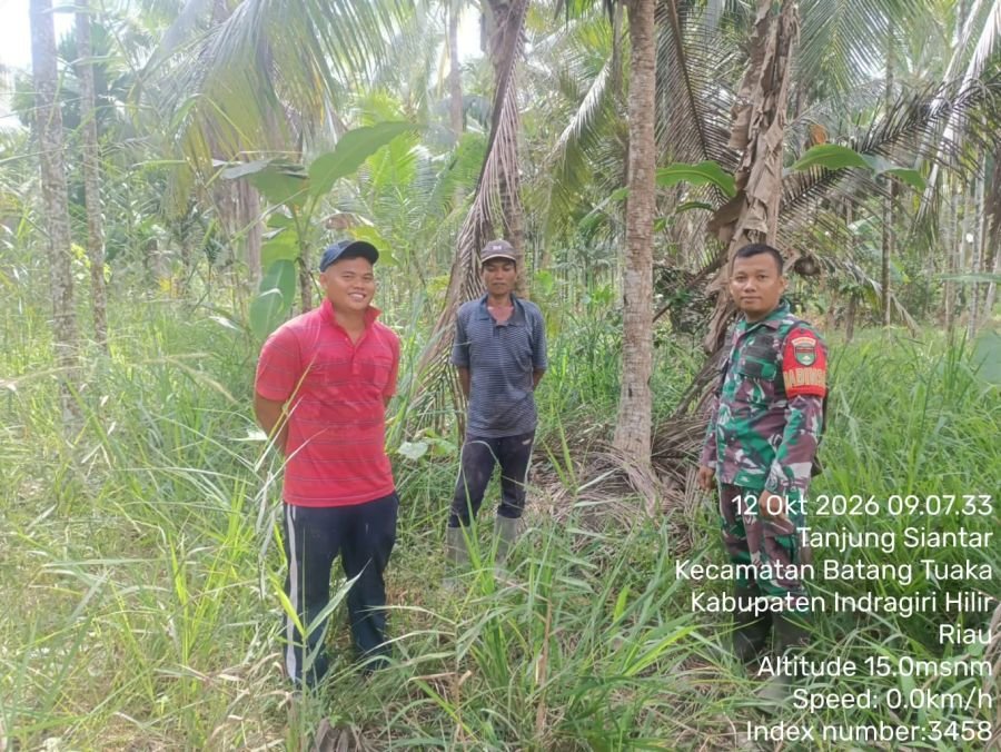 Babinsa Koramil 12/Batang Tuaka Intensifkan Sosialisasi dan Patroli Tapal Batas, Titik Api Nihil