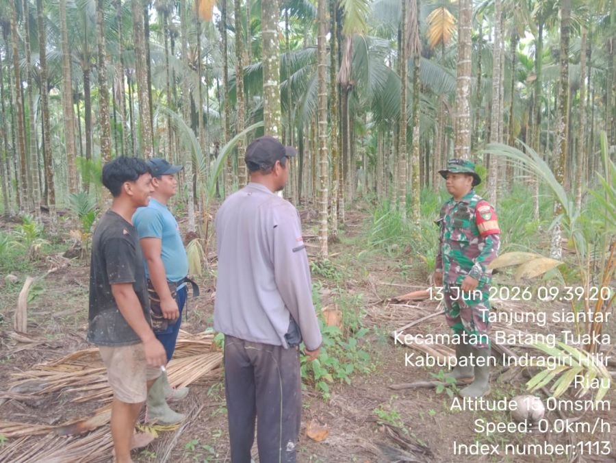 Babinsa Koramil 12/Batang Tuaka Intensifkan Patroli Tapal Batas, Pastikan Wilayah Bebas Titik Api