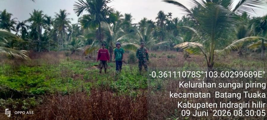 Babinsa Koramil 12/Batang Tuaka Laksanakan Patroli Tapal Batas, Titik Api Nihil
