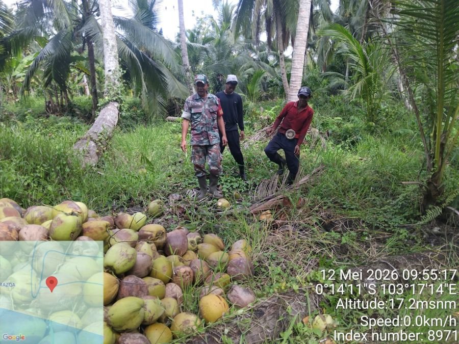 Babinsa Koramil 12/Batang Tuaka Laksanakan Patroli Tapal Batas, Titik Api Nihil