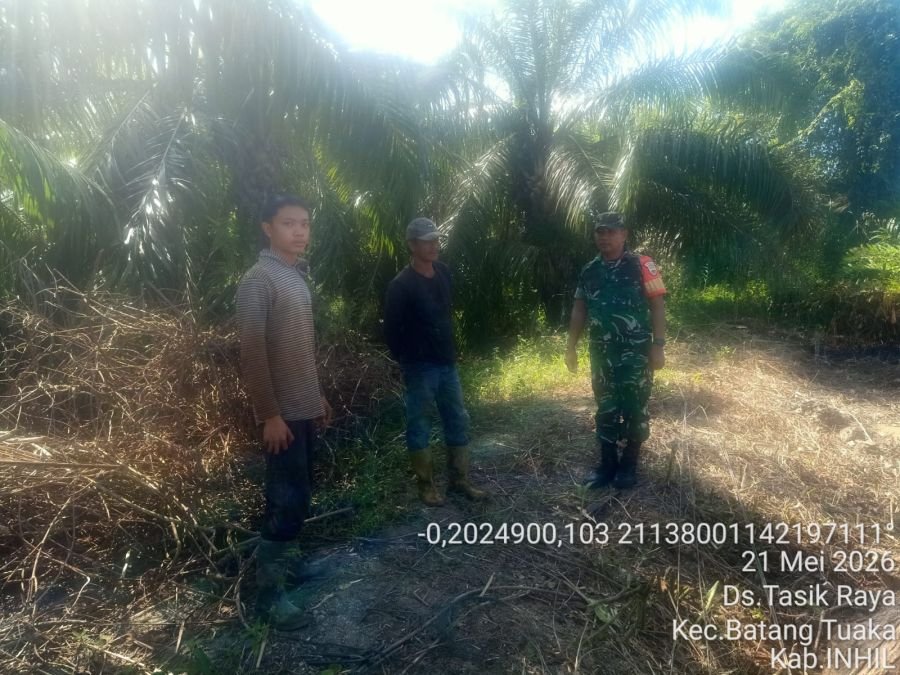 Babinsa Koramil 12/Batang Tuaka Laksanakan Patroli Tapal Batas, Titik Api Nihil