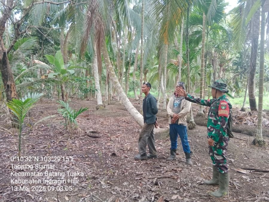 Babinsa Koramil 12/Batang Tuaka Laksanakan Sosialisasi dan Patroli Tapal Batas di Desa Tanjung Siant