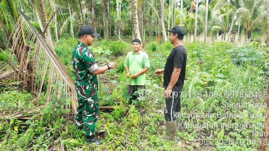 Babinsa Koramil 12/Batang Tuaka Patroli Tapal Batas, Pastikan Wilayah Desa Sungai Raya Aman dari Tit