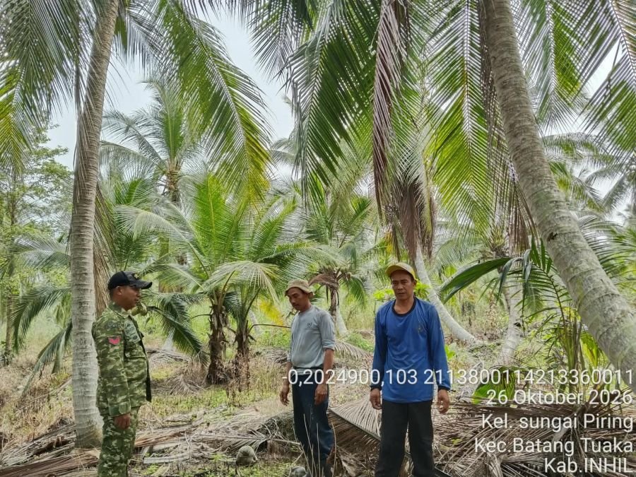 Babinsa Koramil 12/Batang Tuaka Patroli Tapal Batas, Api dan Asap Nihil