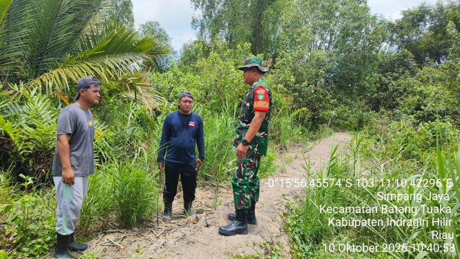 Babinsa Siswanto Patroli Karhutla di Inhil, Tak Temukan Titik Api