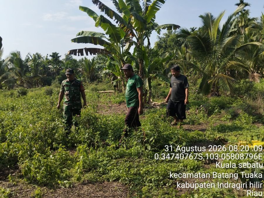 Babinsa Koramil 12/Batang Tuaka Patroli Tapal Batas, Pastikan Wilayah Kuala Sebatu Aman dari Karhutl