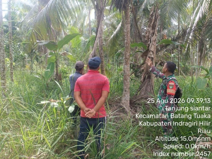 Babinsa Koramil 12/Batang Tuaka Sosialisasi dan Pantau Tapal Batas di Desa Tanjung Siantar