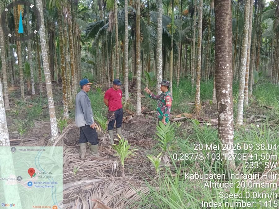 Babinsa Koramil 12/BTK Laksanakan Sosialisasi dan Patroli Tapal Batas, Titik Api Nihil