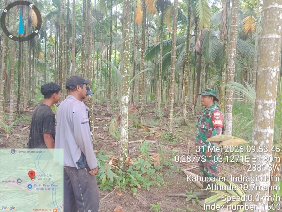 Babinsa Koramil 12/BTK Sosialisasikan Tapal Batas, Situasi Desa Tanjung Siantar Aman