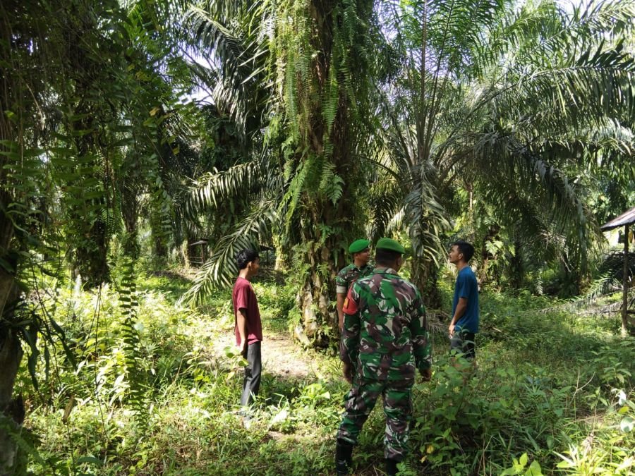 Babinsa Koramil 12/XIII KK Laksanakan Patroli Antisipasi Karhutla di Wilayah Binaan