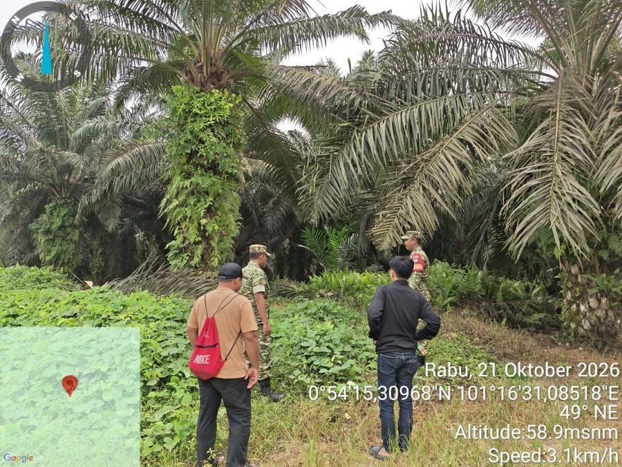 Babinsa Koramil Kandis Intensifkan Patroli Karhutla di Simpang Belutu