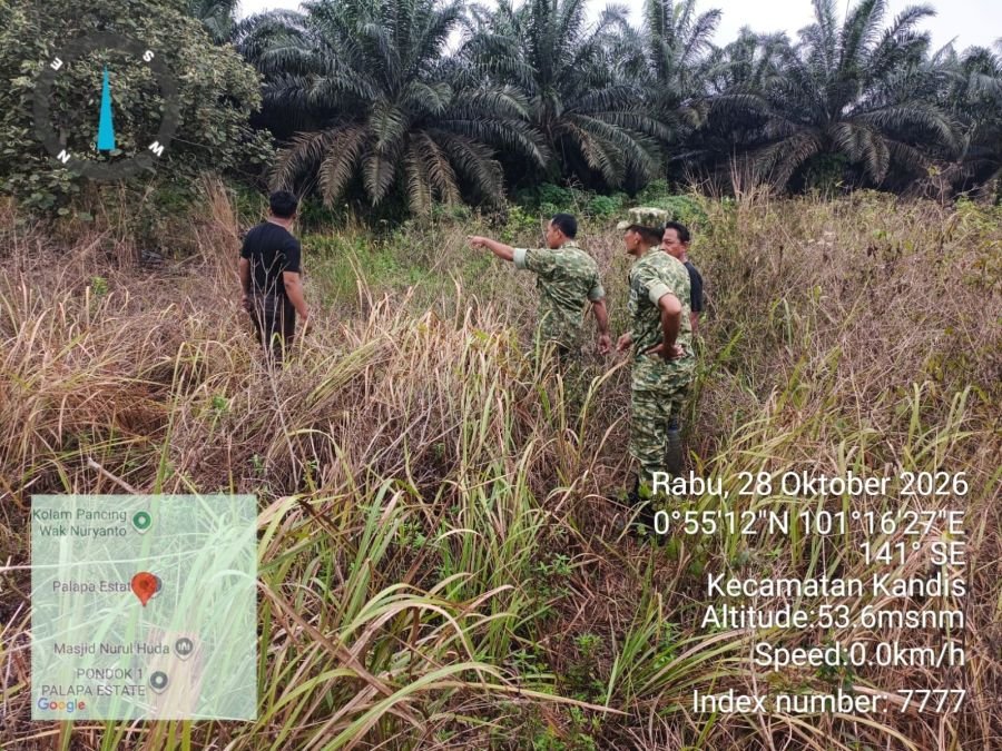 Babinsa Koramil Kandis Intensifkan Patroli Karhutla di Kampung Kandis
