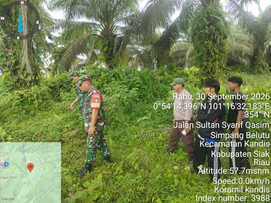 Babinsa Koramil Kandis Patroli Karhutla, Tak Temukan Titik Api di Kampung Sam Sam