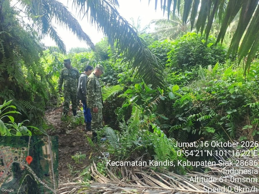 Babinsa Koramil Kandis Sisir Telaga Sam Sam, Tak Ditemukan Titik Api
