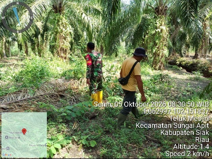 Babinsa Koramil Sungai Apit Gencarkan Patroli Karhutla di Teluk Mesjid