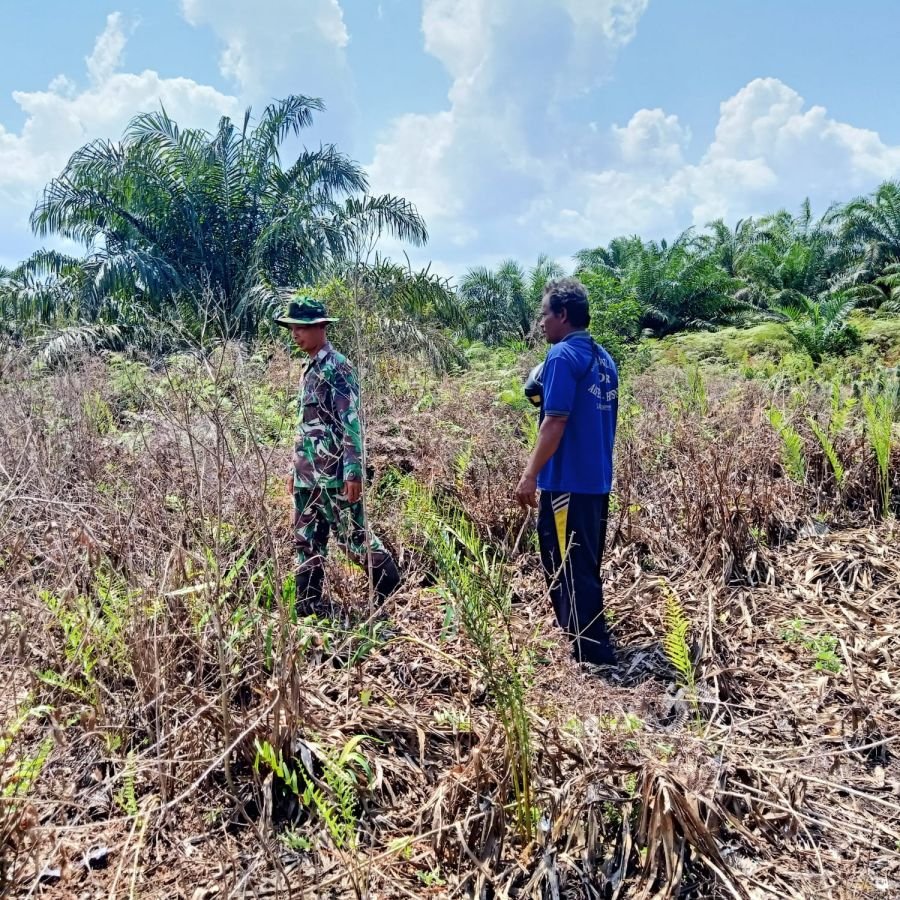 Babinsa Koramil Sungai Apit Intensifkan Patroli Karhutla di Tanjung Kuras