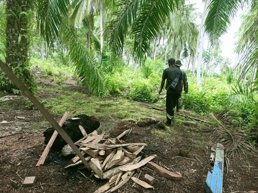 Babinsa Koramil Sungai Apit Sisir Tanjung Kuras, Tak Ditemukan Titik Api