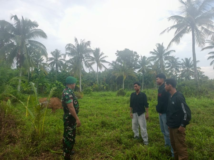 Babinsa koramilmm06/MTM KOPDA RAJA SIHOTANG Melaksanakan kegiatan patroli tapal batas