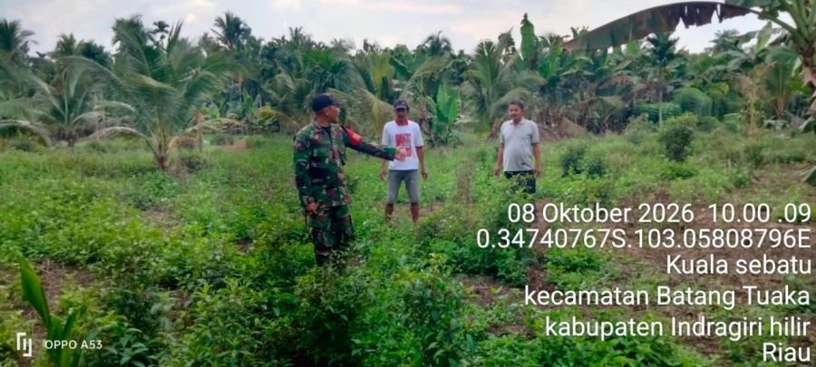 Babinsa Kuala Sebatu Patroli Tapal Batas, Titik Api dan Asap Nihil
