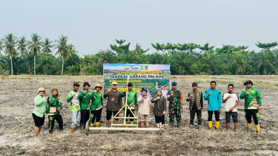 Babinsa Kubu Dampingi Gerakan Tanam Pertanian Modern di Teluk Piyai