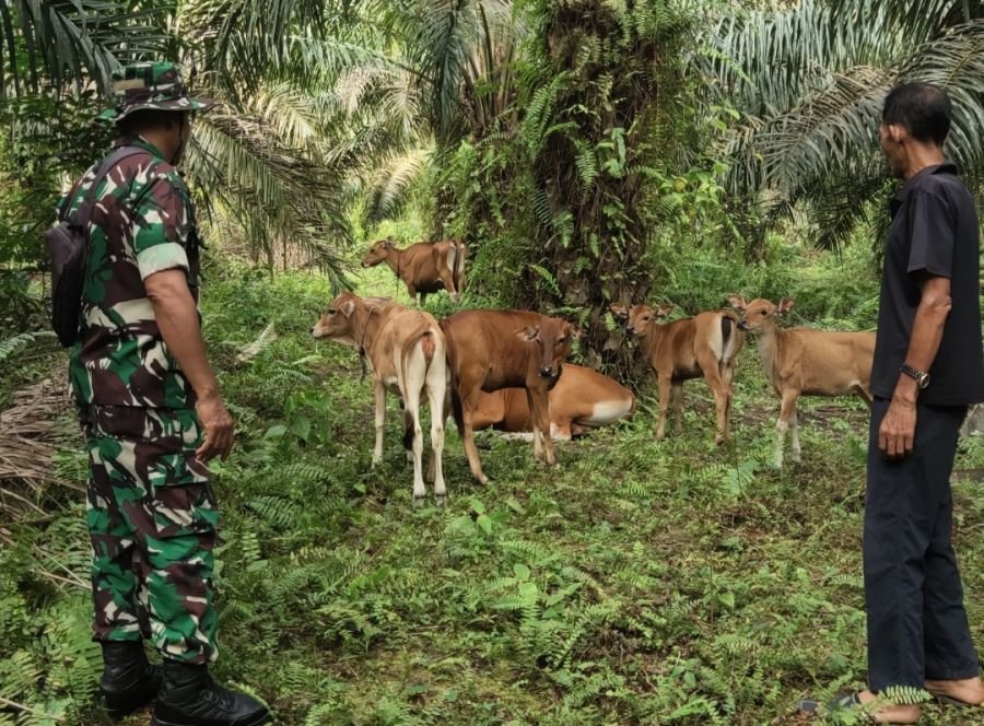 BABINSA LAKUKAN ANJANGSANA TERHADAP PETERNAK DI DESA BINAAN.