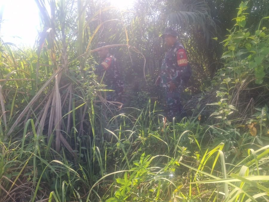 Babinsa Mandau Perketat Patroli Karhutla Titik Rawan disisir