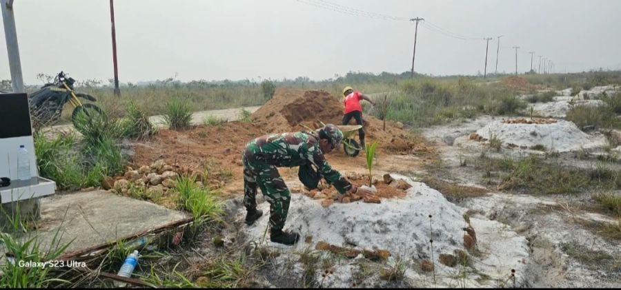 Babinsa Membantu Petani Kelapa Menambah Tanah pada Tanaman Kelapa