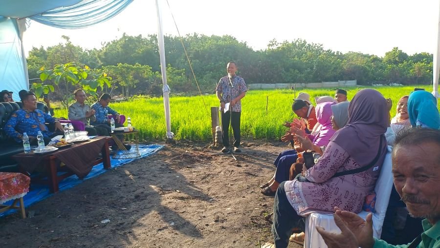 Babinsa Meranti Pandak Kawal Panen Padi Gogo dan Penyerahan Alsintan untuk Petani Pekanbaru