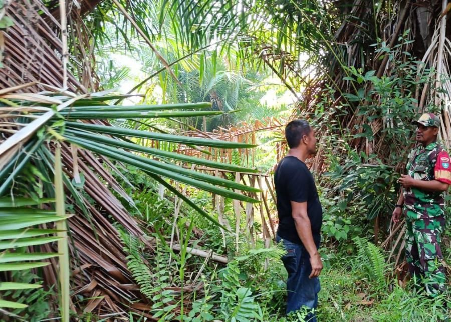 Babinsa Merbau Intensifkan Patroli Karhutla di Desa Mekar Sari, Pastikan Wilayah Gambut Aman