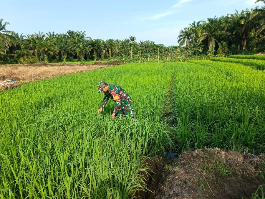 Babinsa Mil03 / Mandah