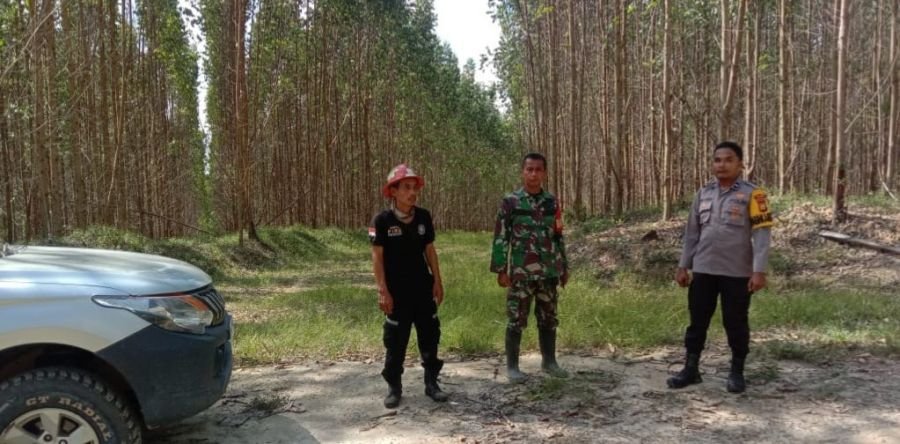 Babinsa Minas dan Tim Gabungan Sisir Kawasan Rawan Karhutla di Sungai Mandau
