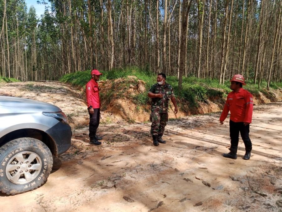 Babinsa Minas Intensif Patroli Karhutla, Wilayah Sungai Mandau Tetap Aman