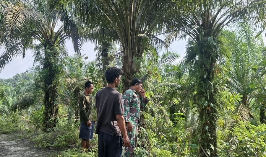 Babinsa Minas Intensif Patroli Karhutla, Wilayah Sungai Mandau Tetap Aman