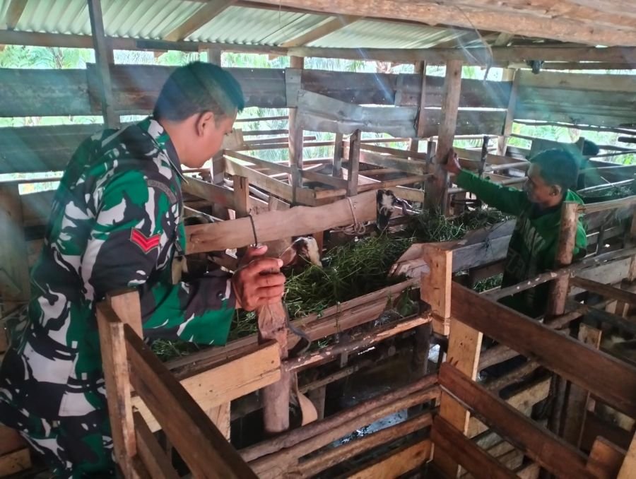 Babinsa Minas Perketat Antisipasi PMK, Peternak Kambing Diberi Edukasi