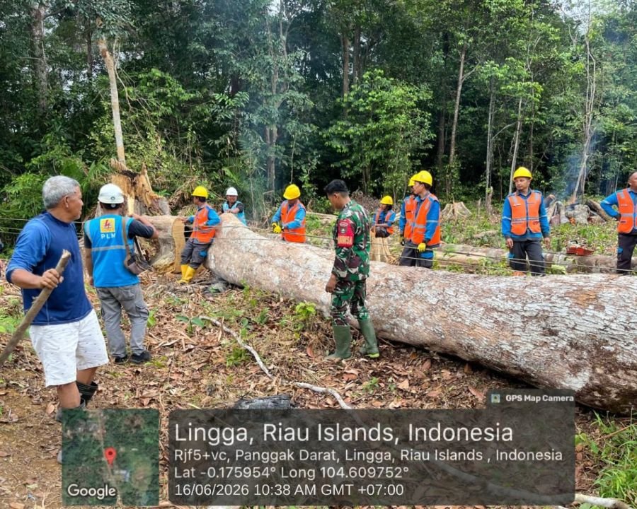 Babinsa Panggak Darat Bersama Masyarakat dan PLN Daik Lingga Gelar Gotong Royong Amankan Jaringan Li