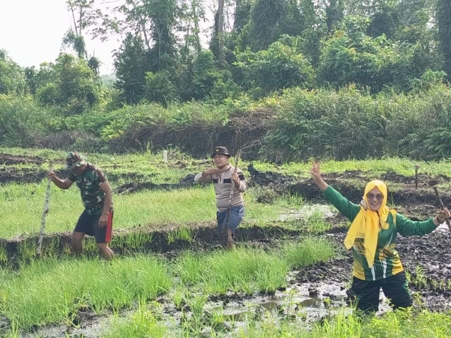Babinsa Pangke Dorong Perluasan Lahan Padi, Ajak Warga Bersihkan Sawah