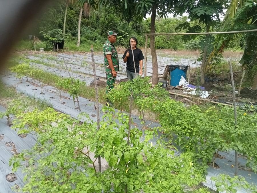 Babinsa Pangke Perkuat Kedekatan dengan Warga Lewat Komsos Humanis