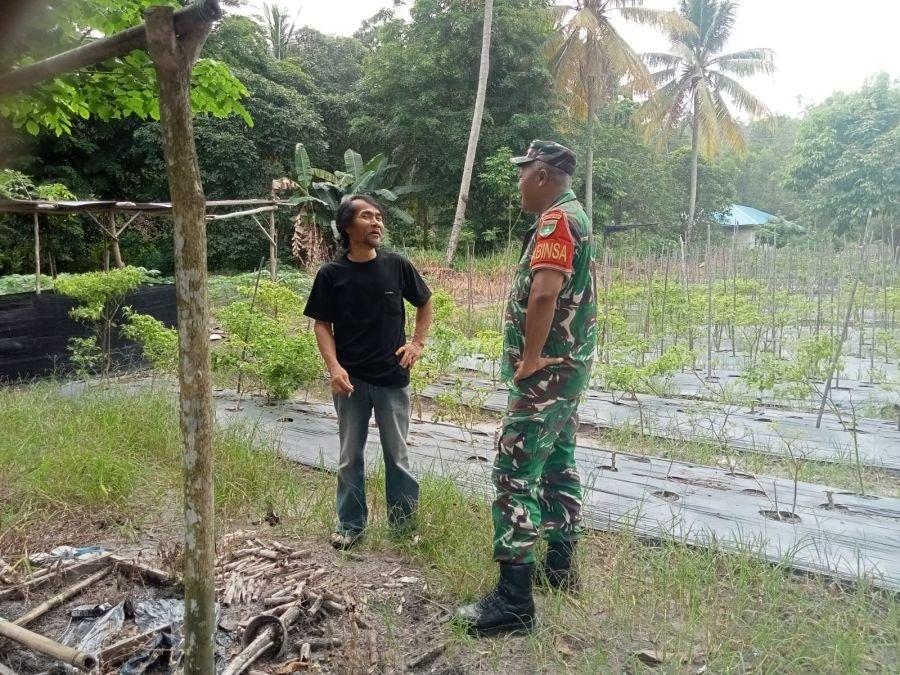 Babinsa Pangke Perkuat Kedekatan dengan Warga Lewat Komsos Humanis