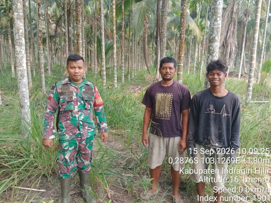 Babinsa Pantau Tapal Batas Tanjung Siantar, Titik Api Nihil