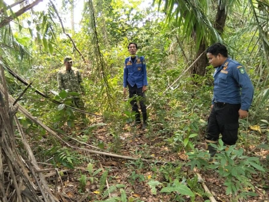 Babinsa Pelda Sinaga Bersama Masyarakat Gelar Patroli Karhutla di Desa Sri Tanjung
